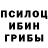 Галлюциногенные грибы прущие грибы wysetech2000,TY Z