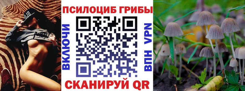 Купить где  Светогорск  Псилоцибиновые грибы Psilocybe 